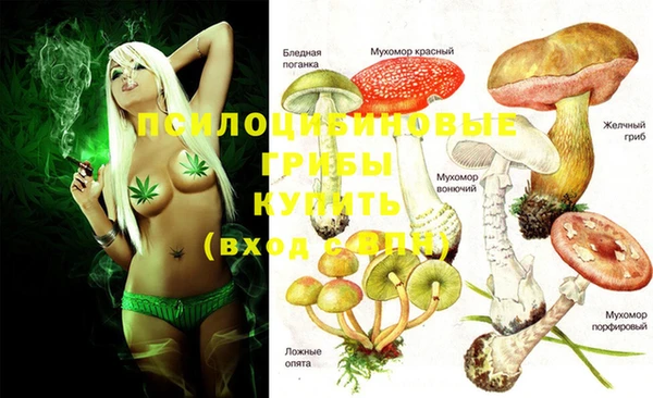 дмт Волоколамск