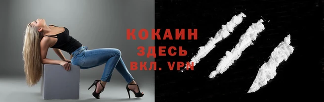 крисы Волосово
