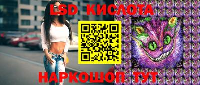 мяу мяу мука Аргун