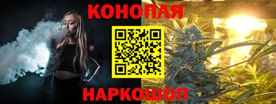 мяу мяу мука Аргун